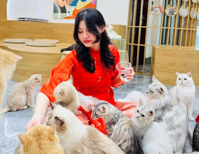 5 quán cà phê mèo siêu yêu tại TP.HCM dành cho các 'sen'- Ảnh 8.