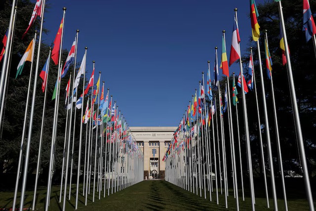 Funding cuts leave women's aid organizations 'stretched to brink'- Ảnh 1. Funding cuts leave women's aid organizations 'stretched to brink'- Ảnh 1.