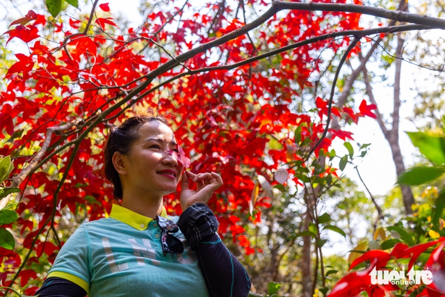 Vietnam’s Quang Tri Province opens trial trekking tours to highest peaks - Ảnh 3. Vietnam’s Quang Tri Province opens trial trekking tours to highest peaks - Ảnh 3.