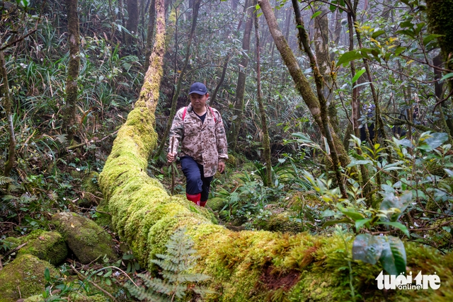 Vietnam’s Quang Tri Province opens trial trekking tours to highest peaks - Ảnh 1. Vietnam’s Quang Tri Province opens trial trekking tours to highest peaks - Ảnh 1.