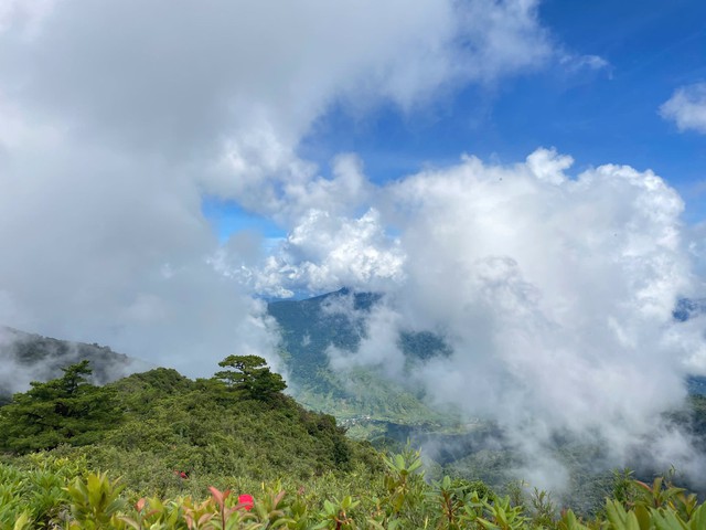 Conquering Ngoc Linh peak: The rooftop of Central Highlands and southern Vietnam- Ảnh 2. Conquering Ngoc Linh peak: The rooftop of Central Highlands and southern Vietnam- Ảnh 2.