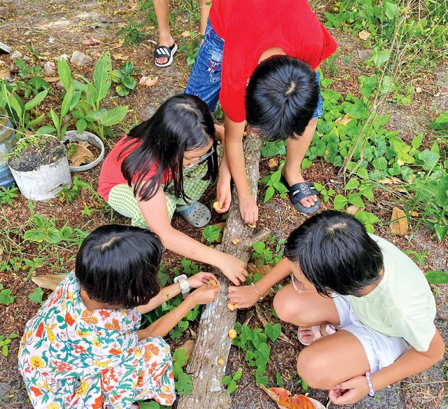 Tạm biệt bài vở, chào hè rực rỡ cùng những khóa học kỹ năng - Ảnh 3.