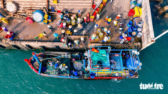 Discover the quiet allure of Nhon Ly fishing village in central Vietnam - Ảnh 6.