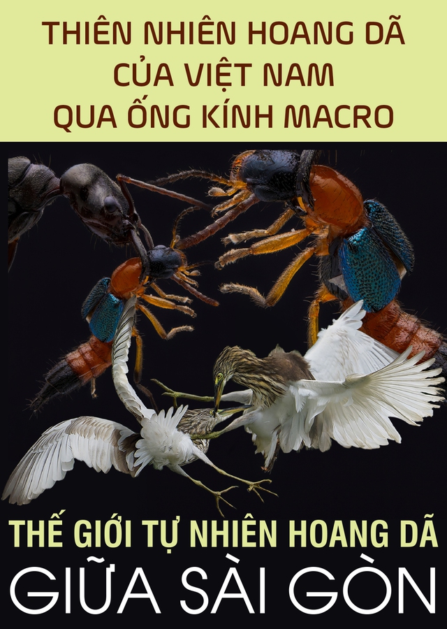 Thế giới tự nhiên hoang dã giữa Sài Gòn