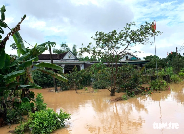Heavy rains in Vietnam’s Ha Tinh kill thousands of livestock, flood farmland, homes - Ảnh 1.