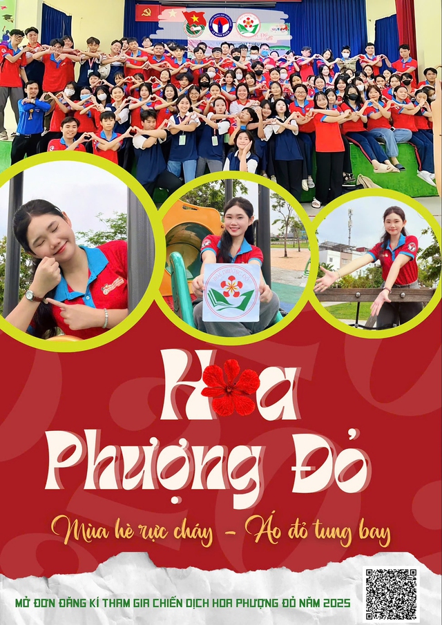 Chào mùa Hoa phượng đỏ thứ 20 - Ảnh 3.