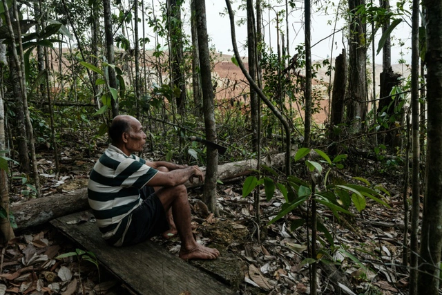 Nickel rush for stainless steel, EVs guts Indonesia tribe's forest home- Ảnh 2.