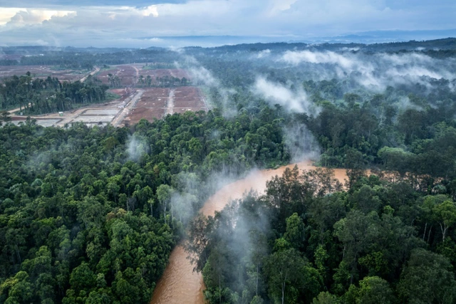 Nickel rush for stainless steel, EVs guts Indonesia tribe's forest home- Ảnh 4.