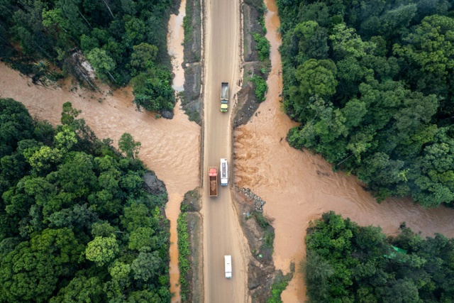 Nickel rush for stainless steel, EVs guts Indonesia tribe's forest home- Ảnh 9.