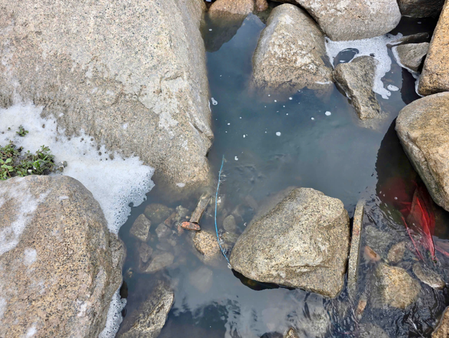 Polluted water discharged into sea in Vietnam’s Quy Nhon City - Ảnh 2.