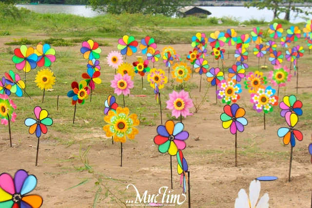 Vui chơi ngày 3-5 và 4-5 tại TP.HCM: đồi chong chóng, đường đèn lồng- Ảnh 10.