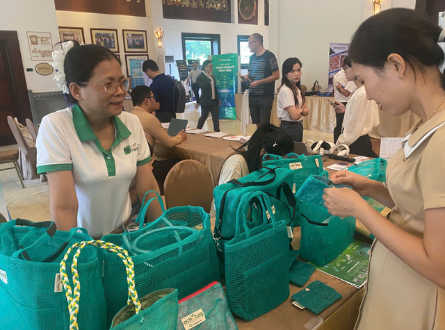 Multiple int’l venture capital funds gather in Da Nang - Ảnh 1.