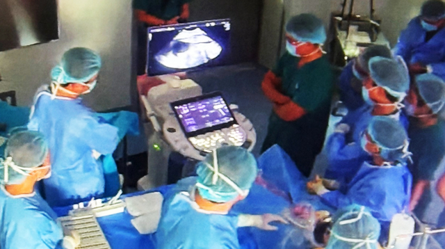 Vietnam emerges as destination for fetal cardiac intervention - Ảnh 1.
