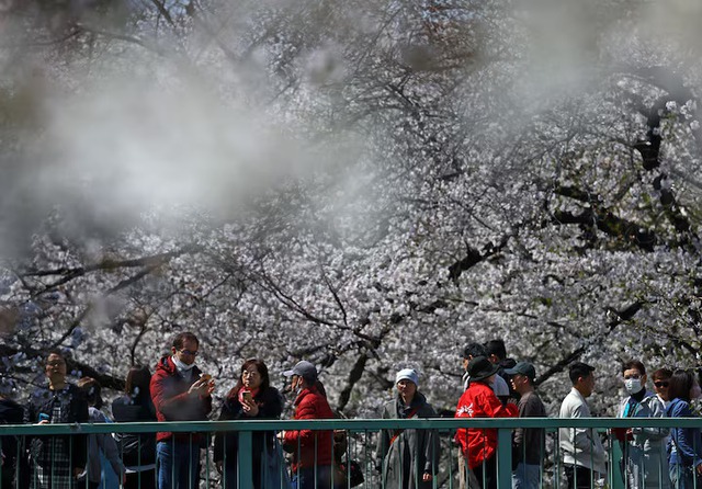 LDP group to seek end to tax exemption for foreign visitors - Ảnh 1. LDP group to seek end to tax exemption for foreign visitors - Ảnh 1.