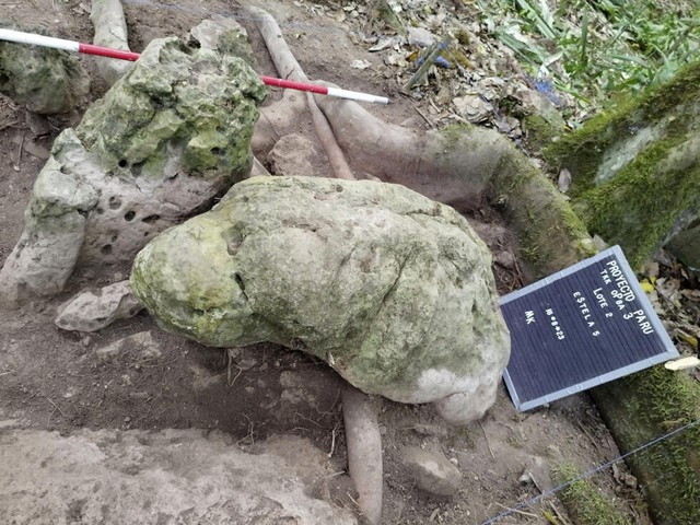 Remains of Mayan city nearly 3,000 years old unearthed in Guatemala- Ảnh 2. Remains of Mayan city nearly 3,000 years old unearthed in Guatemala- Ảnh 2.