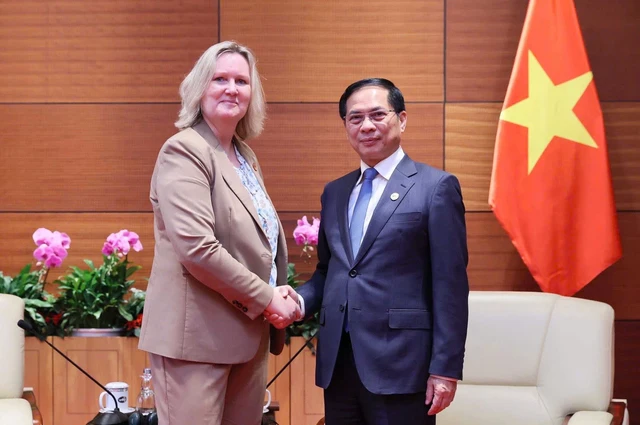 Denmark eyes stronger trade ties, green energy future with Vietnam - Ảnh 1.