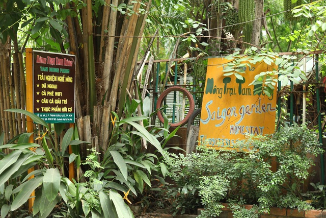 Check-in cây phượng cô đơn ở quận 12: cách đi và điểm tham quan kết hợp - Ảnh 10.