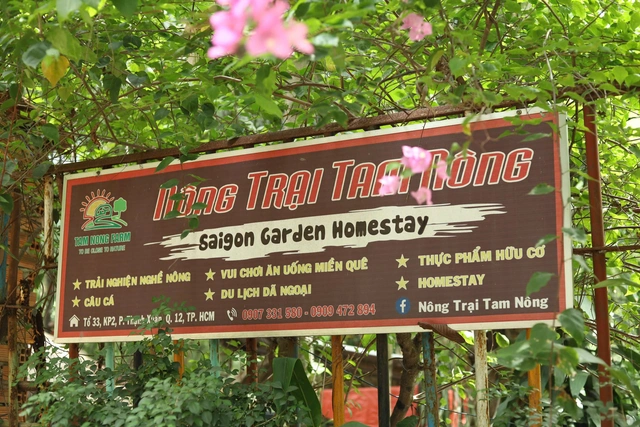 Check-in cây phượng cô đơn ở quận 12: cách đi và điểm tham quan kết hợp - Ảnh 10.