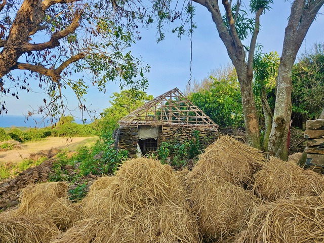 Don't miss this unique stone-built village by the sea while visiting Phu Yen in Vietnam- Ảnh 6. Don't miss this unique stone-built village by the sea while visiting Phu Yen in Vietnam- Ảnh 6.
