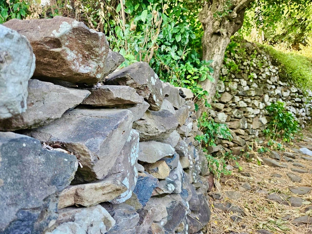 Don't miss this unique stone-built village by the sea while visiting Phu Yen in Vietnam- Ảnh 10. Don't miss this unique stone-built village by the sea while visiting Phu Yen in Vietnam- Ảnh 10.