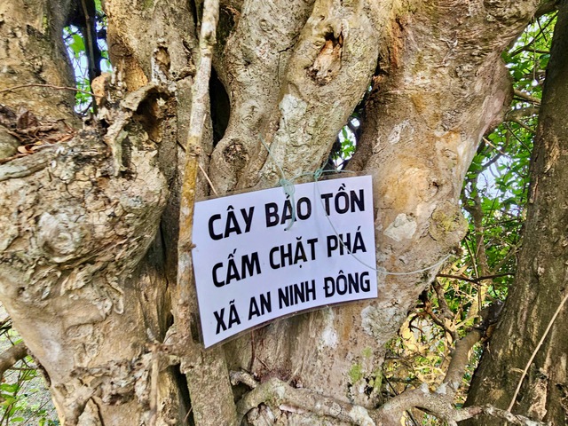 Don't miss this unique stone-built village by the sea while visiting Phu Yen in Vietnam- Ảnh 5. Don't miss this unique stone-built village by the sea while visiting Phu Yen in Vietnam- Ảnh 5.