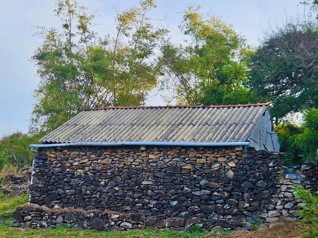 Don't miss this unique stone-built village by the sea while visiting Phu Yen in Vietnam- Ảnh 9. Don't miss this unique stone-built village by the sea while visiting Phu Yen in Vietnam- Ảnh 9.