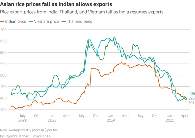 Global rice prices have hit a floor, but India's supply glut will smother any gains- Ảnh 2. Global rice prices have hit a floor, but India's supply glut will smother any gains- Ảnh 2.