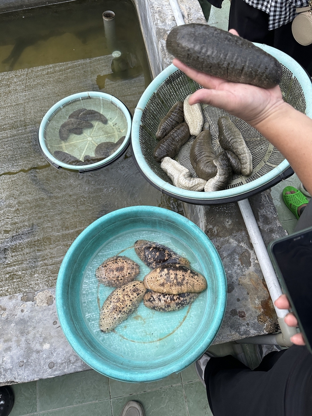Efforts to strengthen seafood supply chain, coastal livelihoods in Vietnam - Ảnh 3.