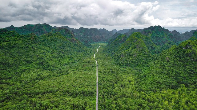 Top 5 trải nghiệm nhất định phải thử cho teen ở Hải Phòng- Ảnh 5.