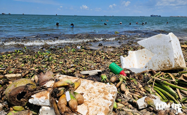Tens of metric tons of plastic waste, water hyacinths wash ashore in southern Vietnam- Ảnh 3.