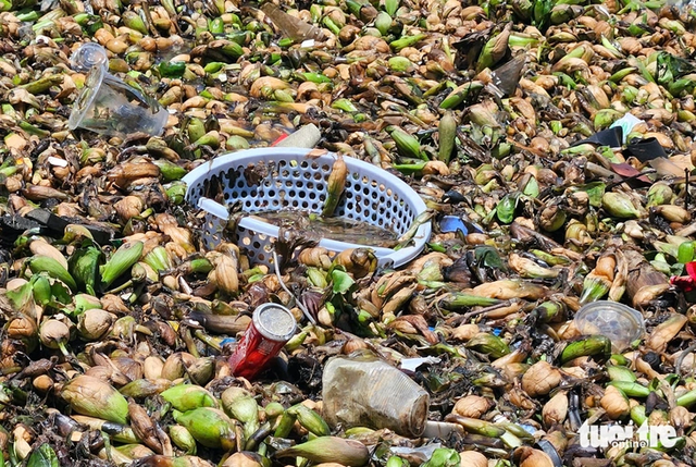 Tens of metric tons of plastic waste, water hyacinths wash ashore in southern Vietnam- Ảnh 6.