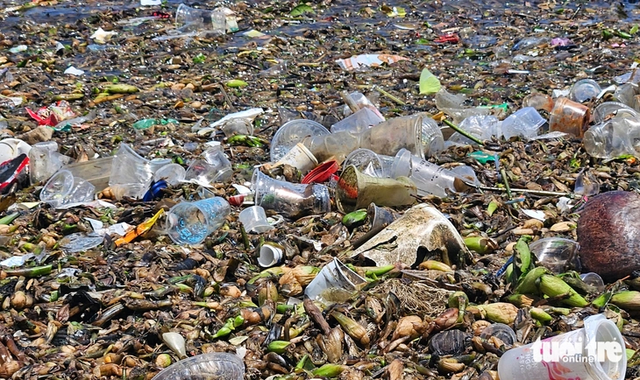 Tens of metric tons of plastic waste, water hyacinths wash ashore in southern Vietnam- Ảnh 7.