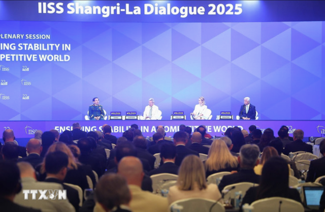 Vietnam highlights 4 key common issues at Shangri-La Dialogue in Singapore- Ảnh 1.