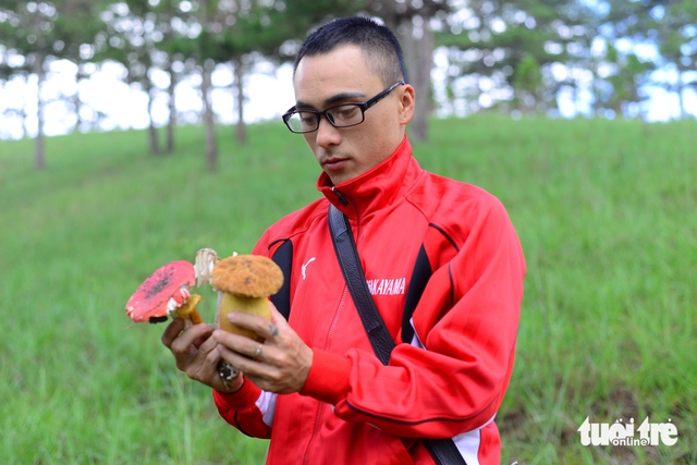Wild mushroom foraging amid rainy season sparks poisoning cases in Vietnam’s Da Lat- Ảnh 1. Wild mushroom foraging amid rainy season sparks poisoning cases in Vietnam’s Da Lat- Ảnh 1.