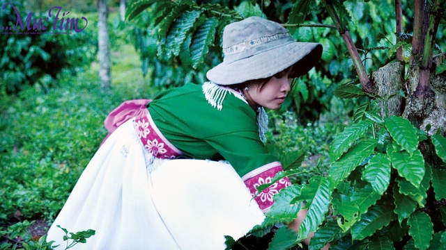 "Nếu không đi học, mình sẽ trở thành một bà nội trợ" - Ảnh 4.