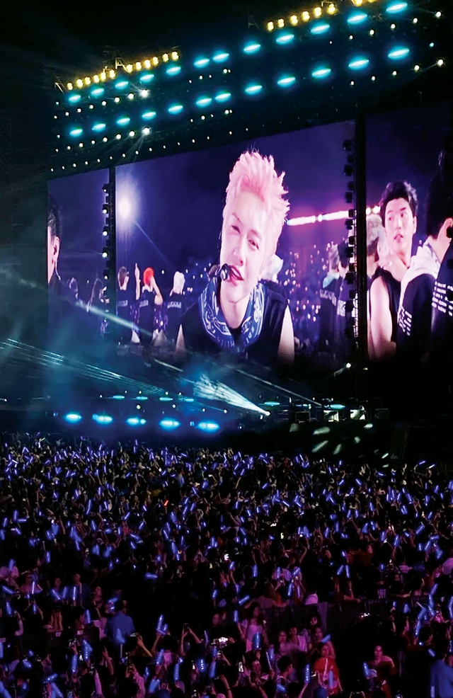 Hiệu ứng từ các concert đình đám, khán giả dần quen với chuyện 'đu' concert Việt- Ảnh 6.