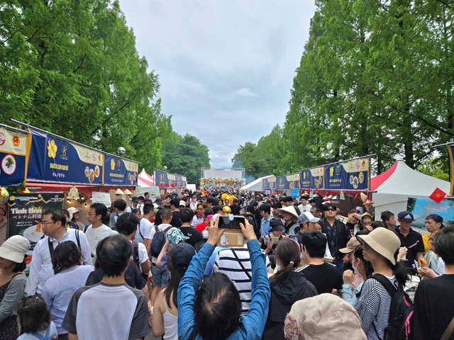 Over 100,000 visitors attend Vietnam culture, food festival in Japan- Ảnh 5.