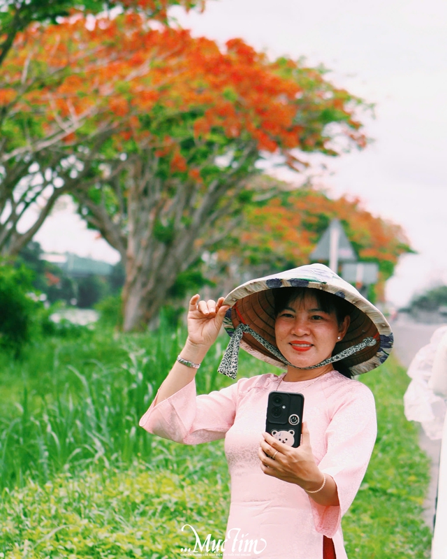 Vẻ đẹp xiêu lòng của hàng phượng vĩ ở Đồng Tháp - Ảnh 8.