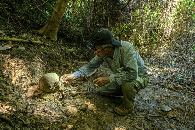 Bone collectors: searching for WWII remains in Okinawa - Ảnh 3.