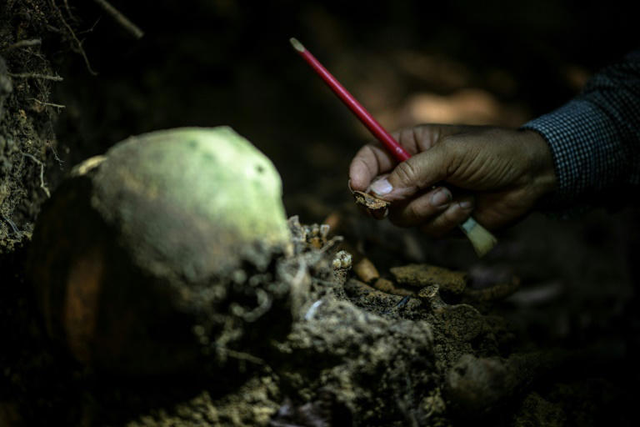 Bone collectors: searching for WWII remains in Okinawa - Ảnh 7.