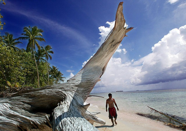 Nearly one-third of Pacific nation Tuvalu seeks Australian climate visa- Ảnh 2. Nearly one-third of Pacific nation Tuvalu seeks Australian climate visa- Ảnh 2.