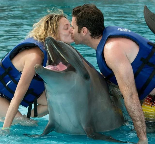 Mexican lawmakers vote to ban dolphin shows - Ảnh 1.