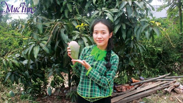 Tri thức là vôn quý, khó mấy cũng phải tìm - Ảnh 1.