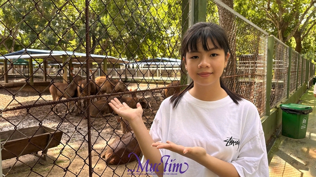 Khám phá khu vườn bí ẩn của tỉnh Tiền Giang - Ảnh 8.