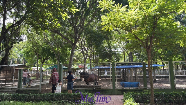 Khám phá khu vườn bí ẩn của tỉnh Tiền Giang - Ảnh 6.