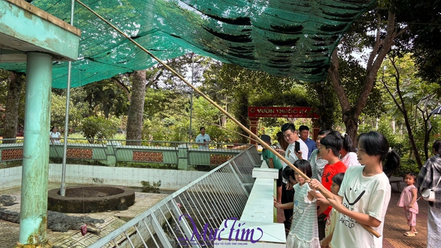 Khám phá khu vườn bí ẩn của tỉnh Tiền Giang - Ảnh 9.