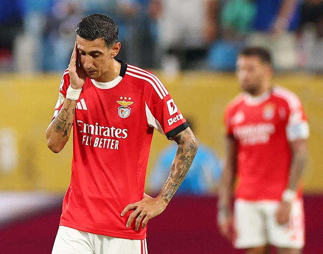 Thắng Benfica, Chelsea gặp Palmeiras ở tứ kết FIFA Club World Cup- Ảnh 3.