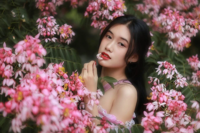 Phượng hồng ngọt ngào, mùa hoa không thể bỏ lỡ khi đến Đà Lạt mùa này - Ảnh 1.