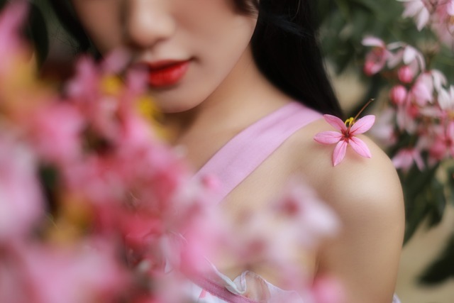 Phượng hồng ngọt ngào, mùa hoa không thể bỏ lỡ khi đến Đà Lạt mùa này - Ảnh 4.