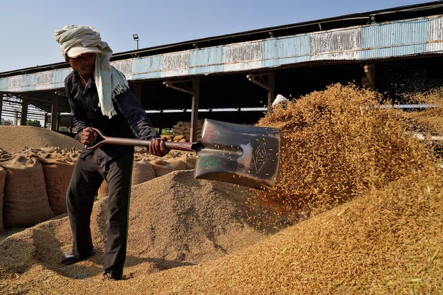 India's monsoon covers country nine days early, accelerating planting - Ảnh 2.